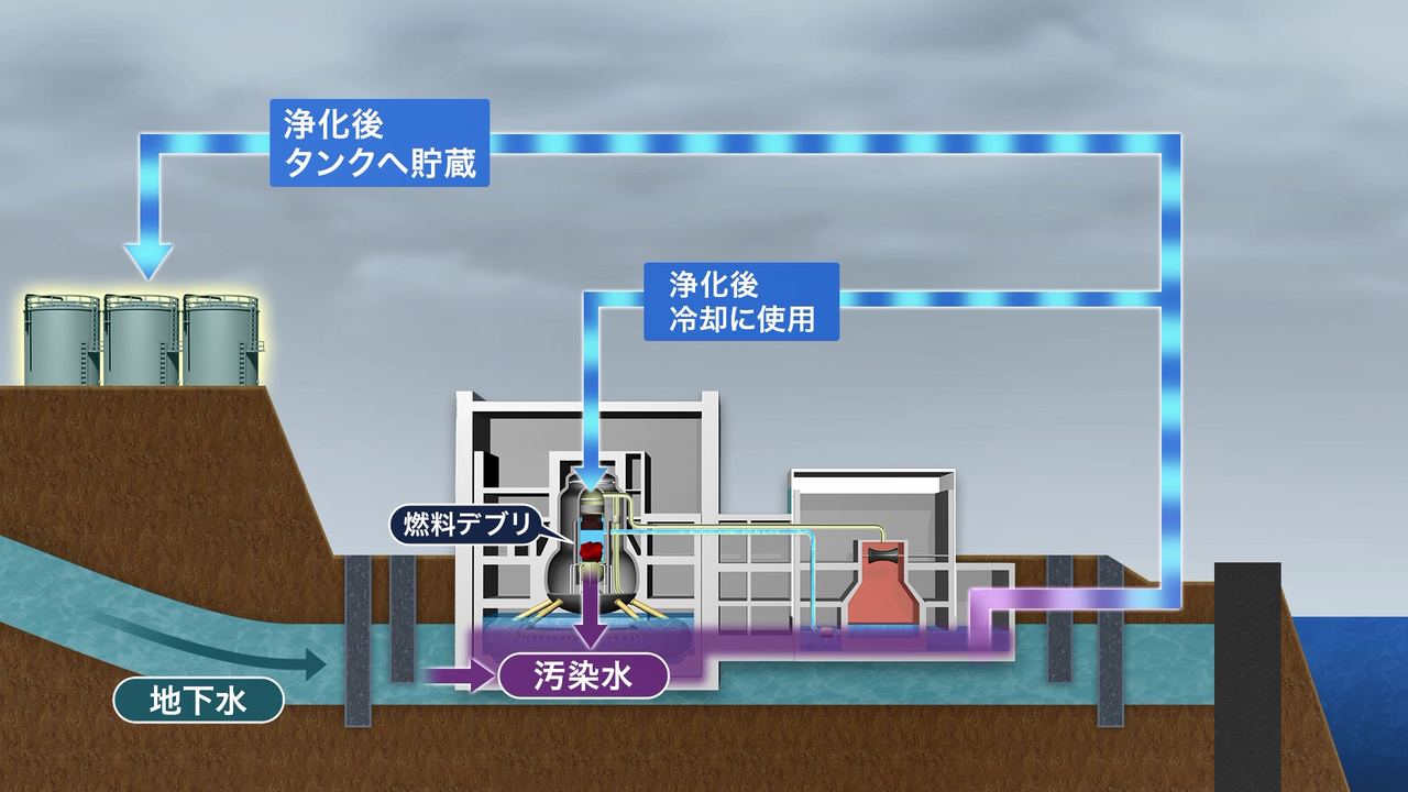 原発処理水海へ放出か 福島産の安全性は 漁業者の苦悩NEWS23スタッフノートnote