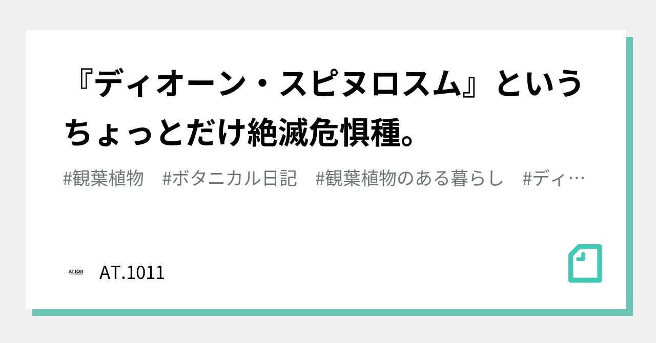 ディオーン・スピヌロスム』というちょっとだけ絶滅危惧種。｜AT.1011