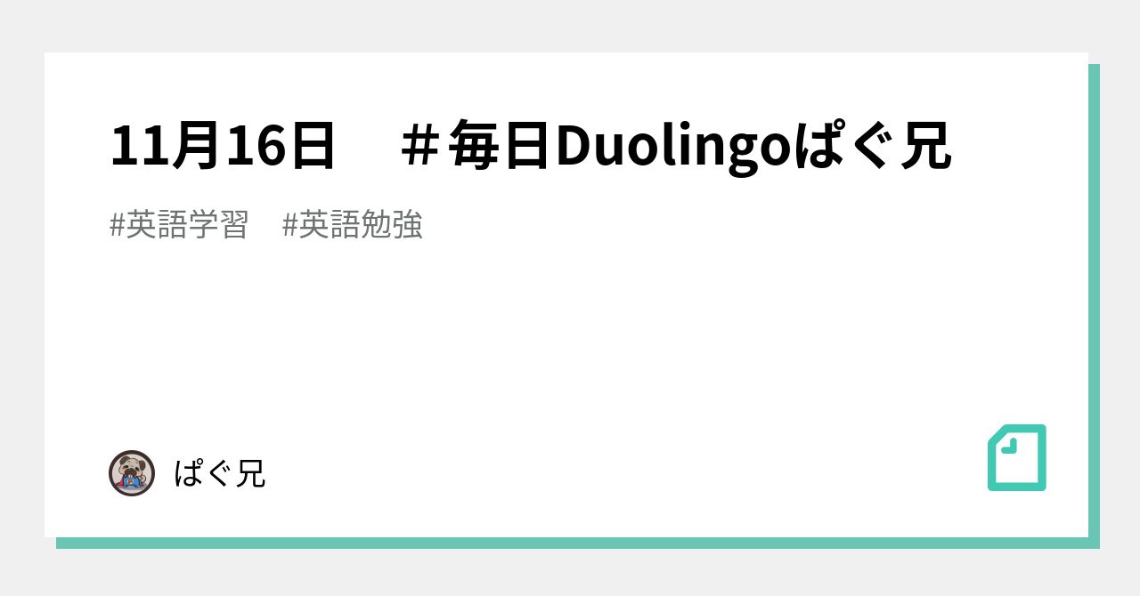 Duolingo デュオリンゴ Tシャツ エコバッグ スリッパ 11月16日 ＃毎日