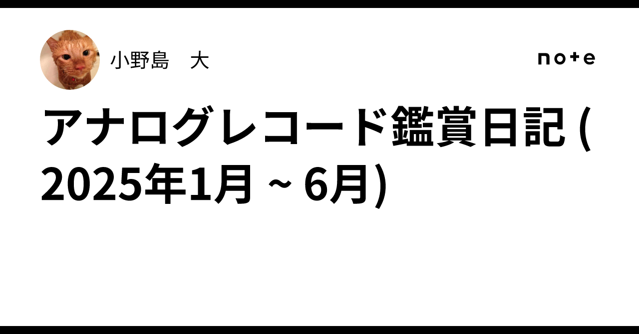 アナログレコード鑑賞日記 (2025年1月 ~ 6月)｜小野島 大