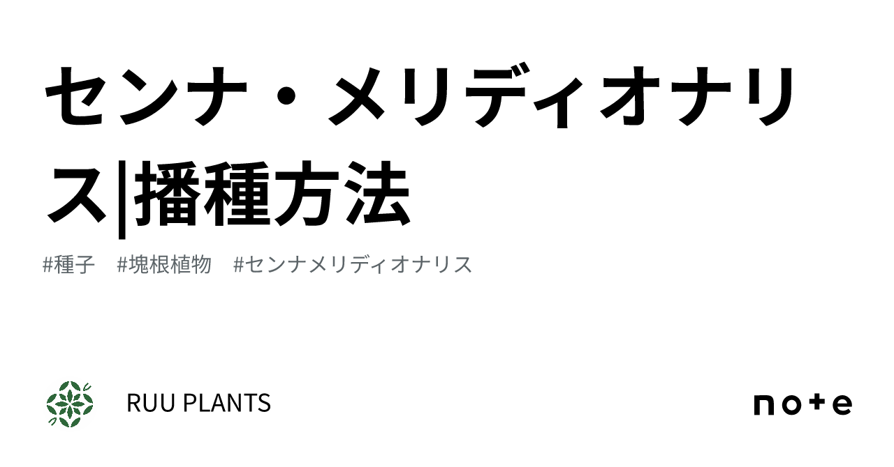 センナ・メリディオナリス|播種方法|RUU PLANTS センナ・メリディオナリス|播種方法|RUU PLANTS