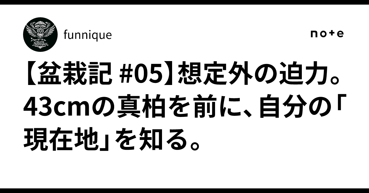 盆栽記 #05】想定外の迫力。43cmの真柏を前に、自分の「現在地」を知る