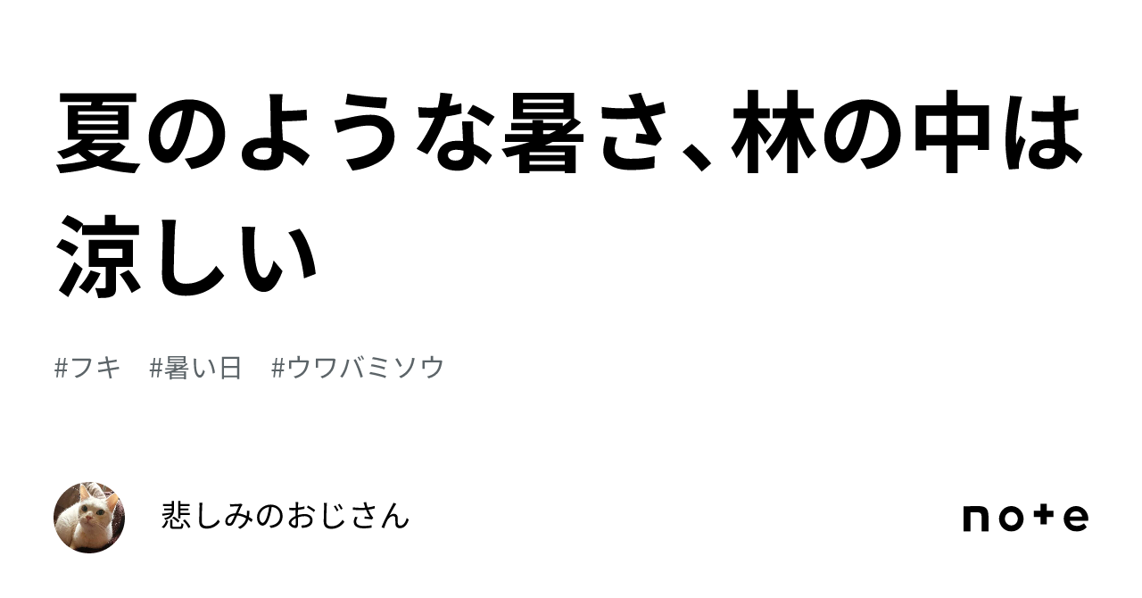 夏のような暑さ、林の中は涼しい｜悲しみのおじさん