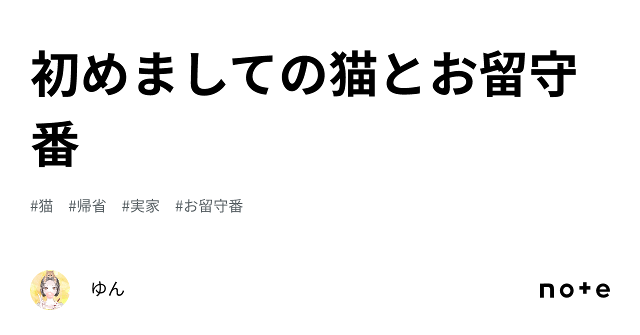 初めましての猫とお留守番｜ゆん 8387