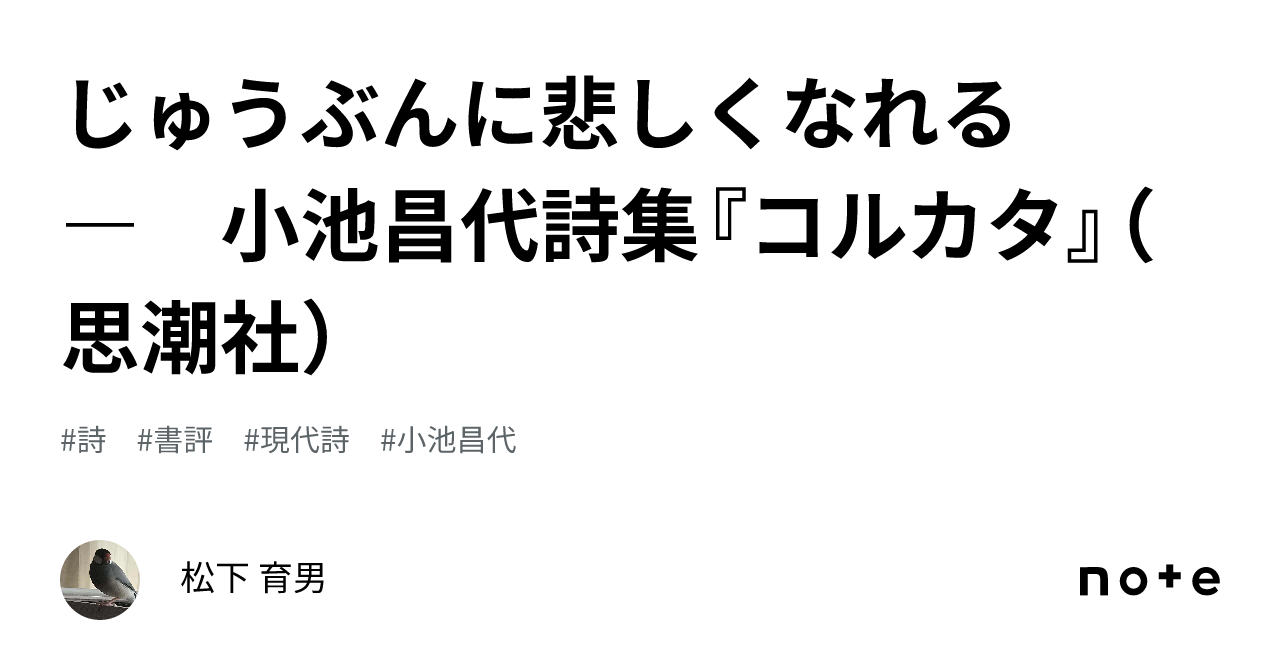 じゅうぶんに悲しくなれる ― 小池昌代詩集『コルカタ』（思潮社