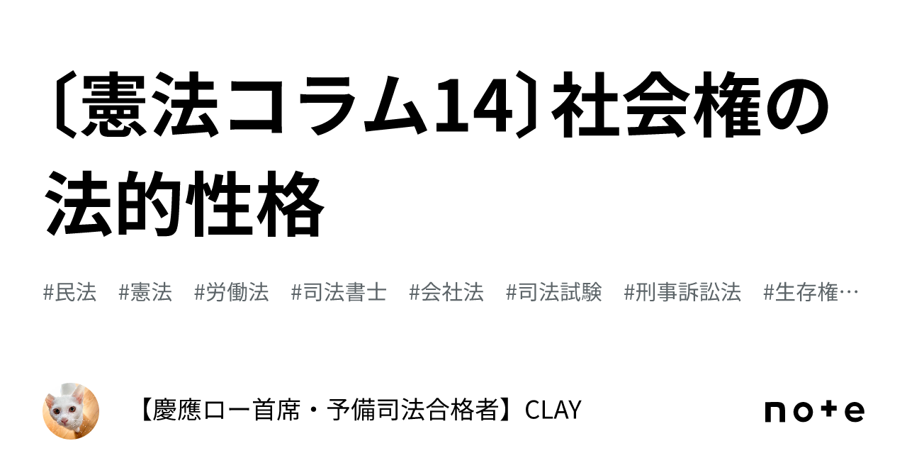 〔憲法コラム14〕社会権の法的性格|【慶應ロー首席・予備司法合格者】CLAY
