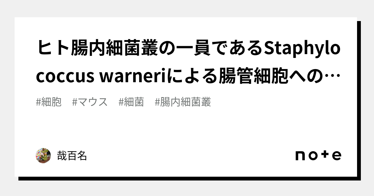 ヒト腸内細菌叢の一員であるStaphylococcus warneriによる腸管細胞への侵入｜哉百名｜note