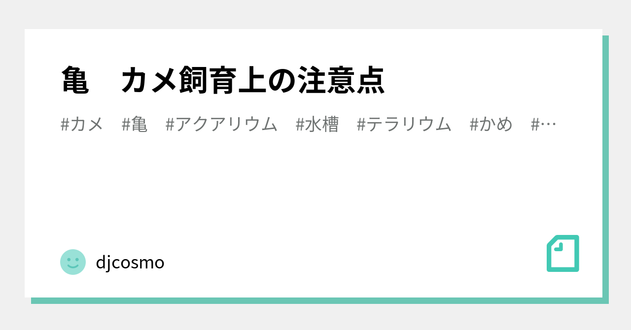 亀 カメ飼育上の注意点 Djcosmo Note