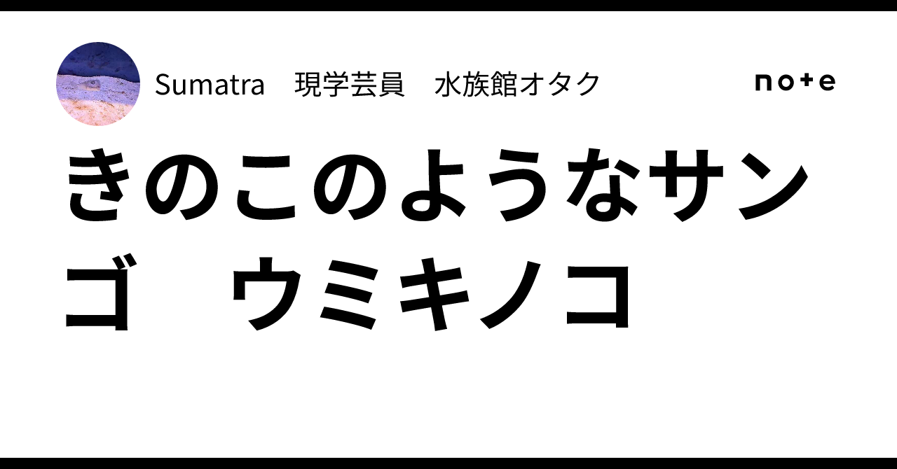 Toadstool Reef Mushroom-like Coral: Toadstool Coral|Sumatra 現学芸員 (マガジンに海響館の解説 2万部達成!)
