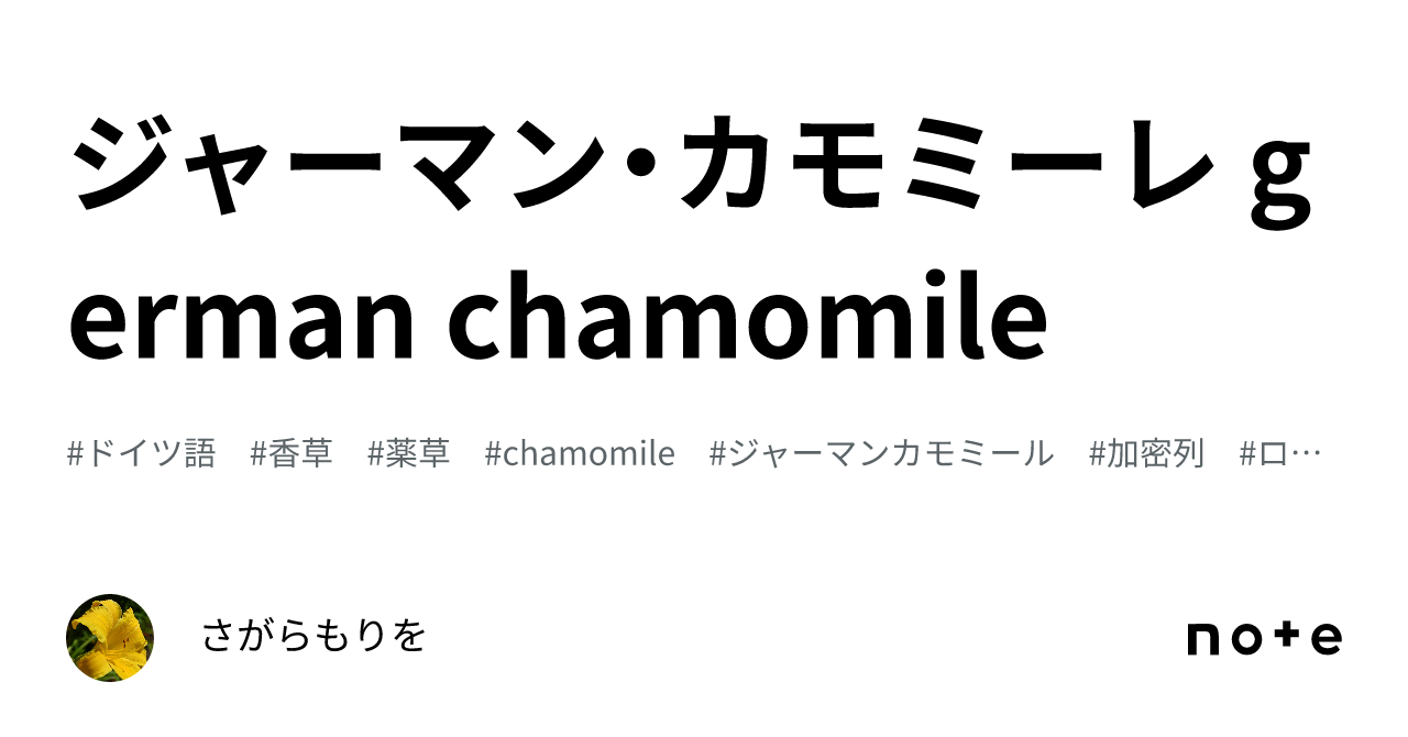 ジャーマン・カモミーレ german chamomile｜さがらもりを