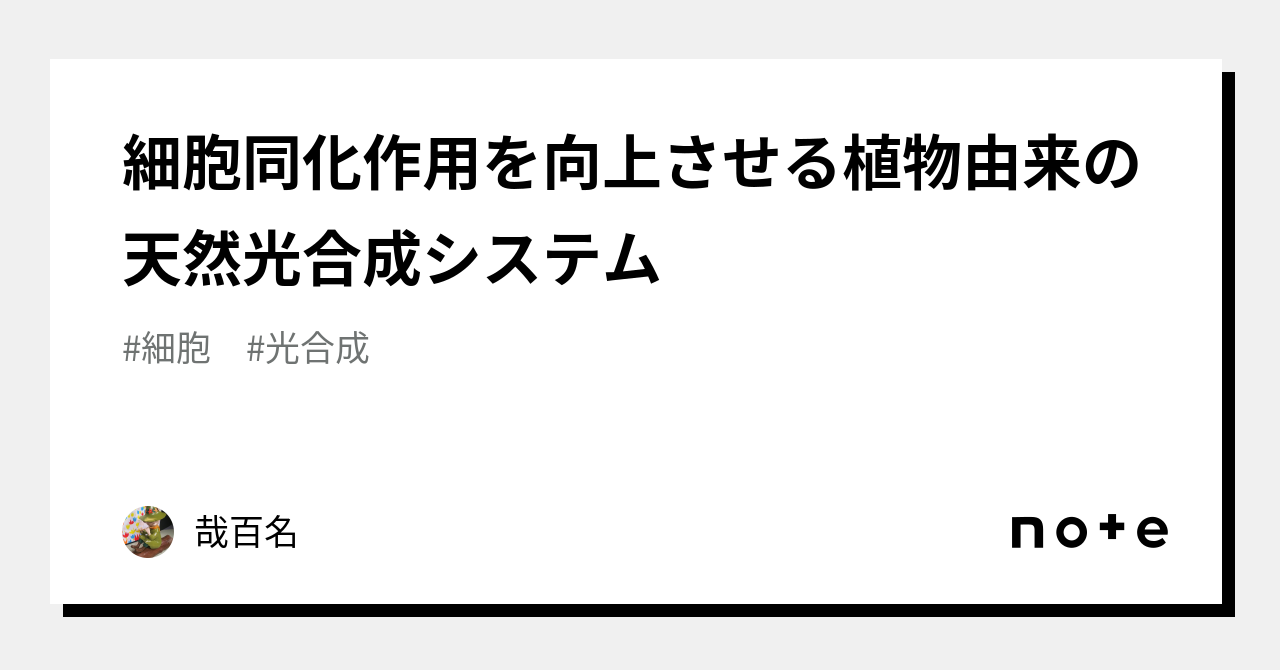 高校生物】代謝④「地球上ではどのような同化が行われているのか？」｜矢口はっぴー, image size:1280x670