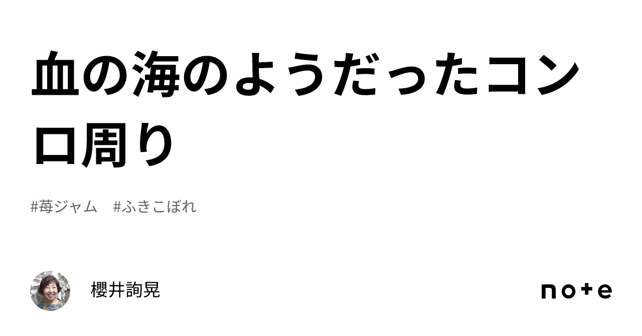 血の海のようだったコンロ周り|櫻井詢晃