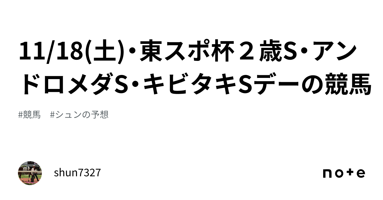 11 18 土 ・東スポ杯2歳s・アンドロメダs・キビタキsデーの競馬🏇｜shun7327