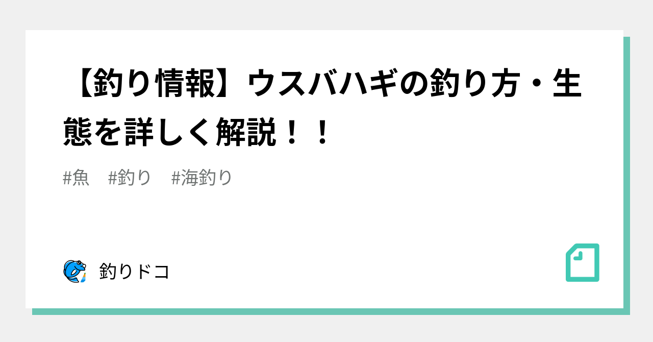 釣り情報 ウスバハギの釣り方 生態を詳しく解説 釣りドコ Note