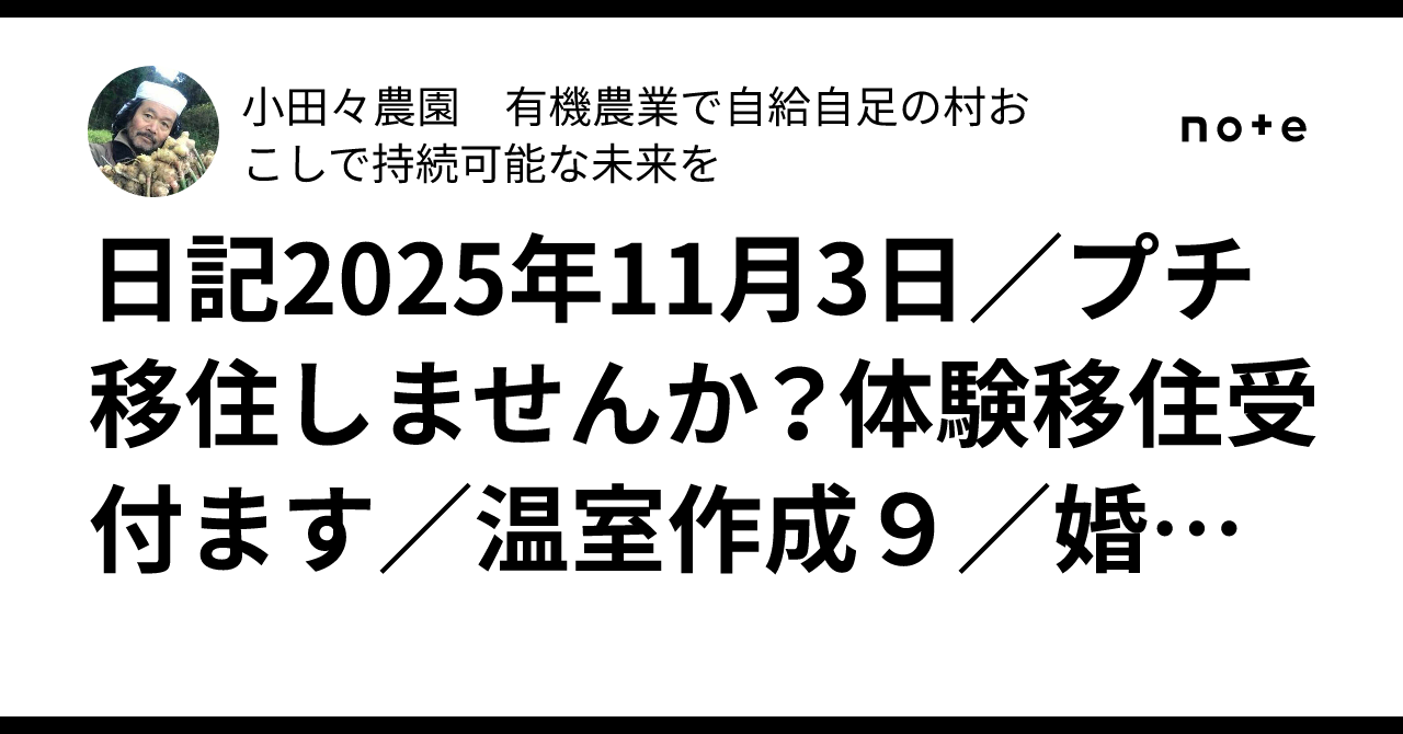 日記2025年11月3日／プチ移住しませんか？体験移住受付ます／温室作成９／婚活中｜小田々農園 有機農業で自給自足の村おこしで持続可能な未来を