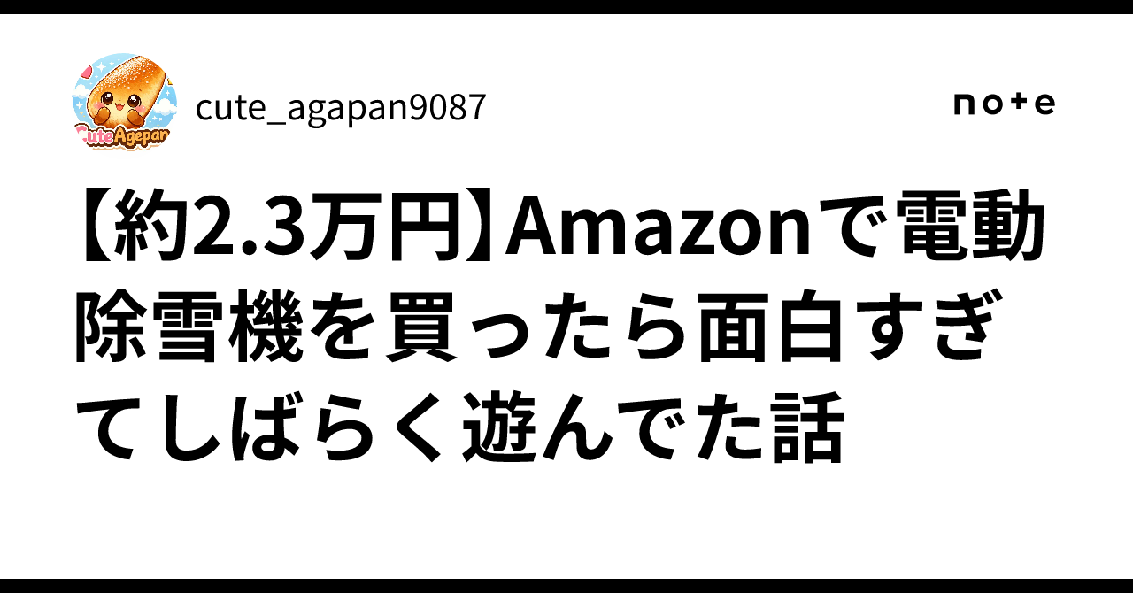 約2.3万円】Amazonで電動除雪機を買ったら面白すぎてしばらく遊んでた 
