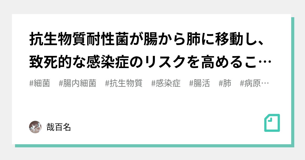 抗生物質耐性菌が腸から肺に移動し、致死的な感染症のリスクを高めることを初めて証明｜哉百名