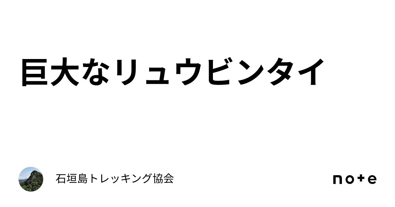 巨大なリュウビンタイ｜石垣島トレッキング協会