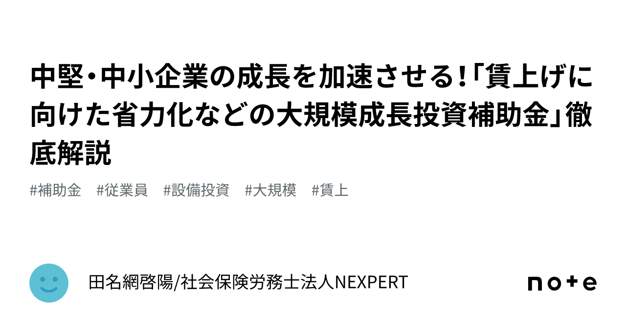 中堅・中小企業の成長を加速させる！「賃上げに向けた省力化などの大規模成長投資補助金」徹底解説｜田名網啓陽 社会保険労務士法人nexpert