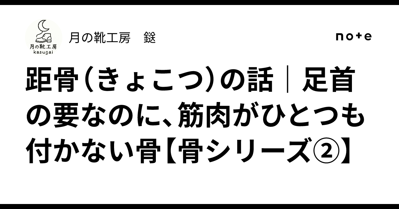 距骨(きょこつ)の話|足首の要なのに、筋肉がひとつも付かない骨【骨シリーズ②】|月の靴工房 鎹