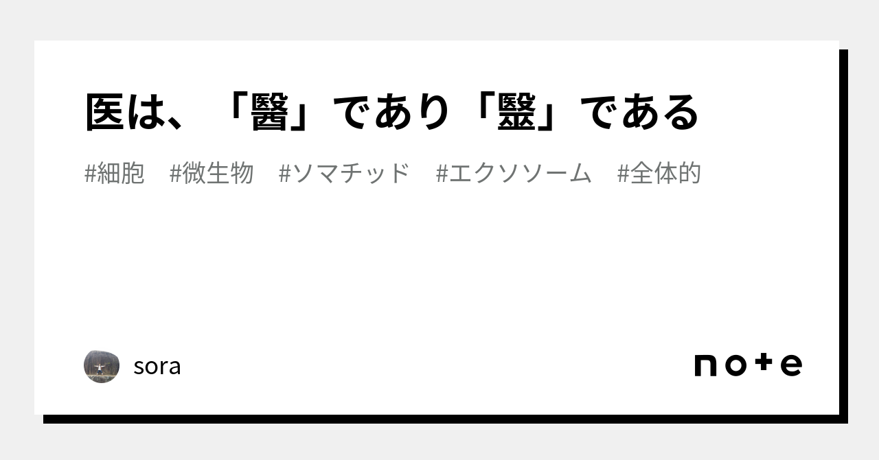 医は、「醫」であり「毉」である｜sora