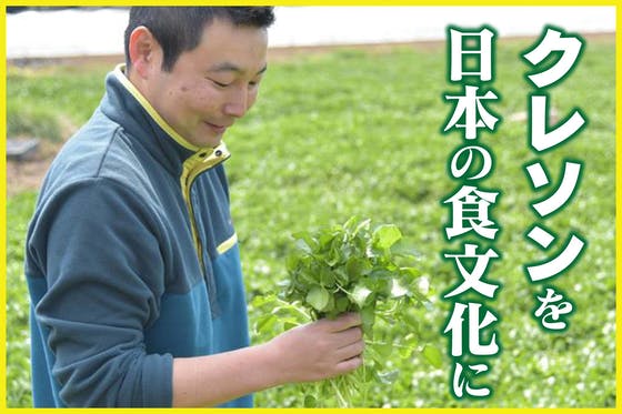 クレソンを「日本の食文化」にしたい！日本で美味しいクレソン栽培を拡げたい！