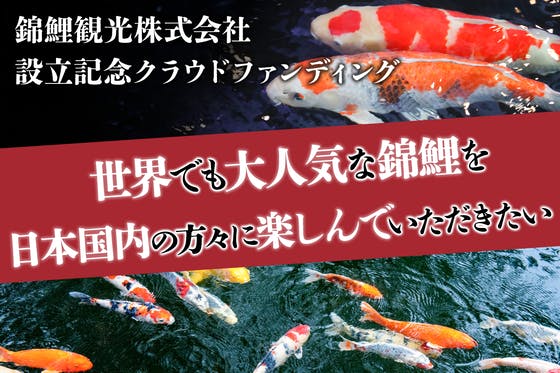【株式会社設立記念】錦鯉観光を日本の皆様にも 気軽に楽しんでいただきたい！