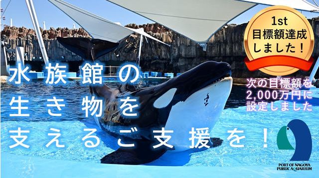 名古屋港水族館、クラウドファンディングはじめました！～生き物のために支援をお願いします～ | クラウドファンディング - 夢チューブ