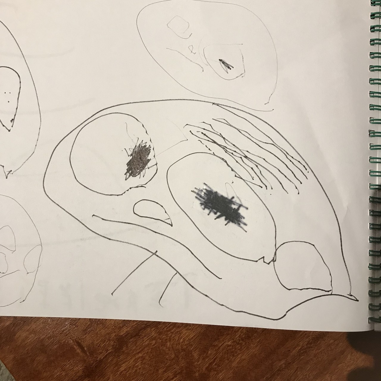 今しか見れない 子どもが描く 頭足人 ナカメ Note