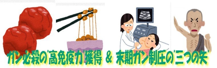 情熱的 キス で花粉症退治 Iq180 老人の 若返りダイエット 日記