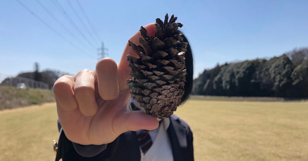image1のコピー