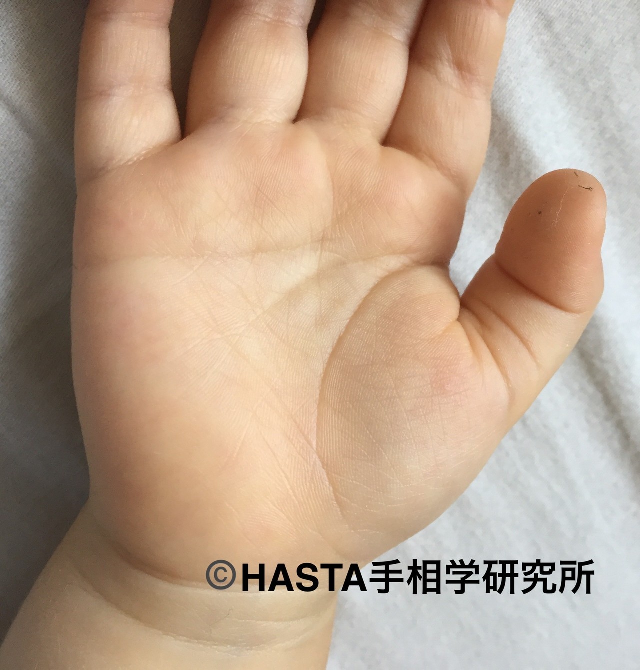 手相学の真意〜赤ちゃんの手の変化2〜|手相学研究家 寺島みさお|note