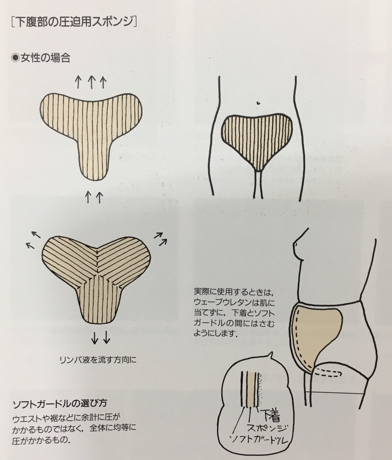 陰部 Japaneseclass Jp