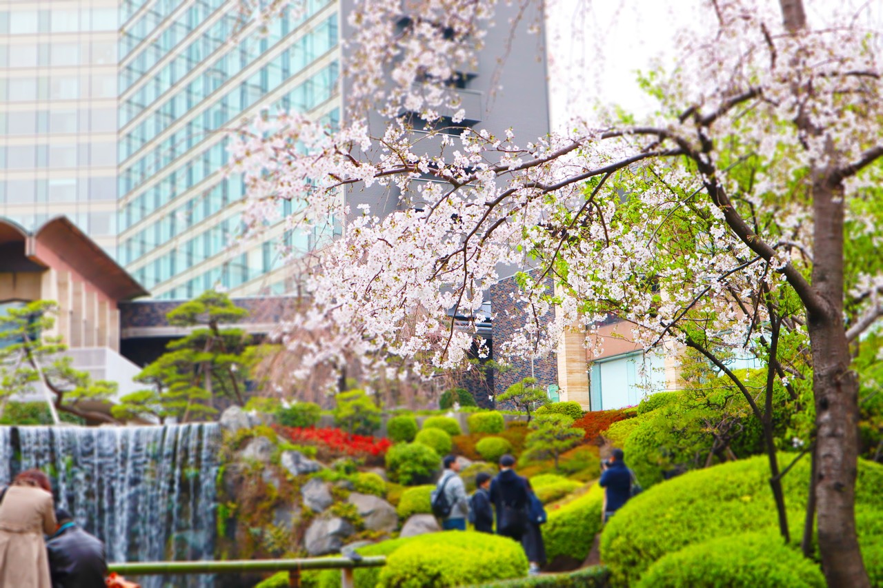 すべての花の画像 驚くばかりニューオータニ 日本庭園