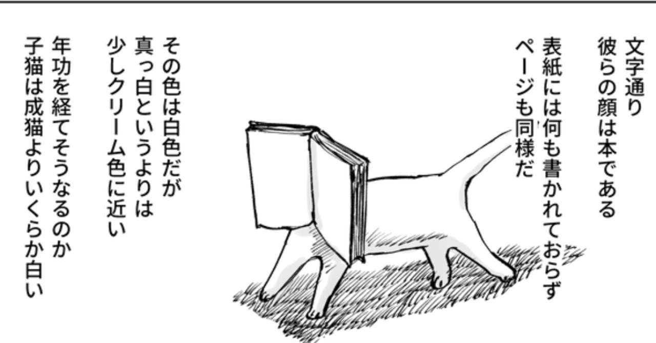 顔が本の猫ショート_001