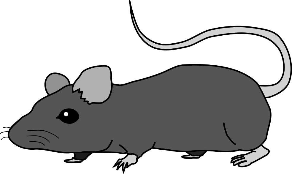 ベスト50 マウス イラスト 実験 動物ゾーン