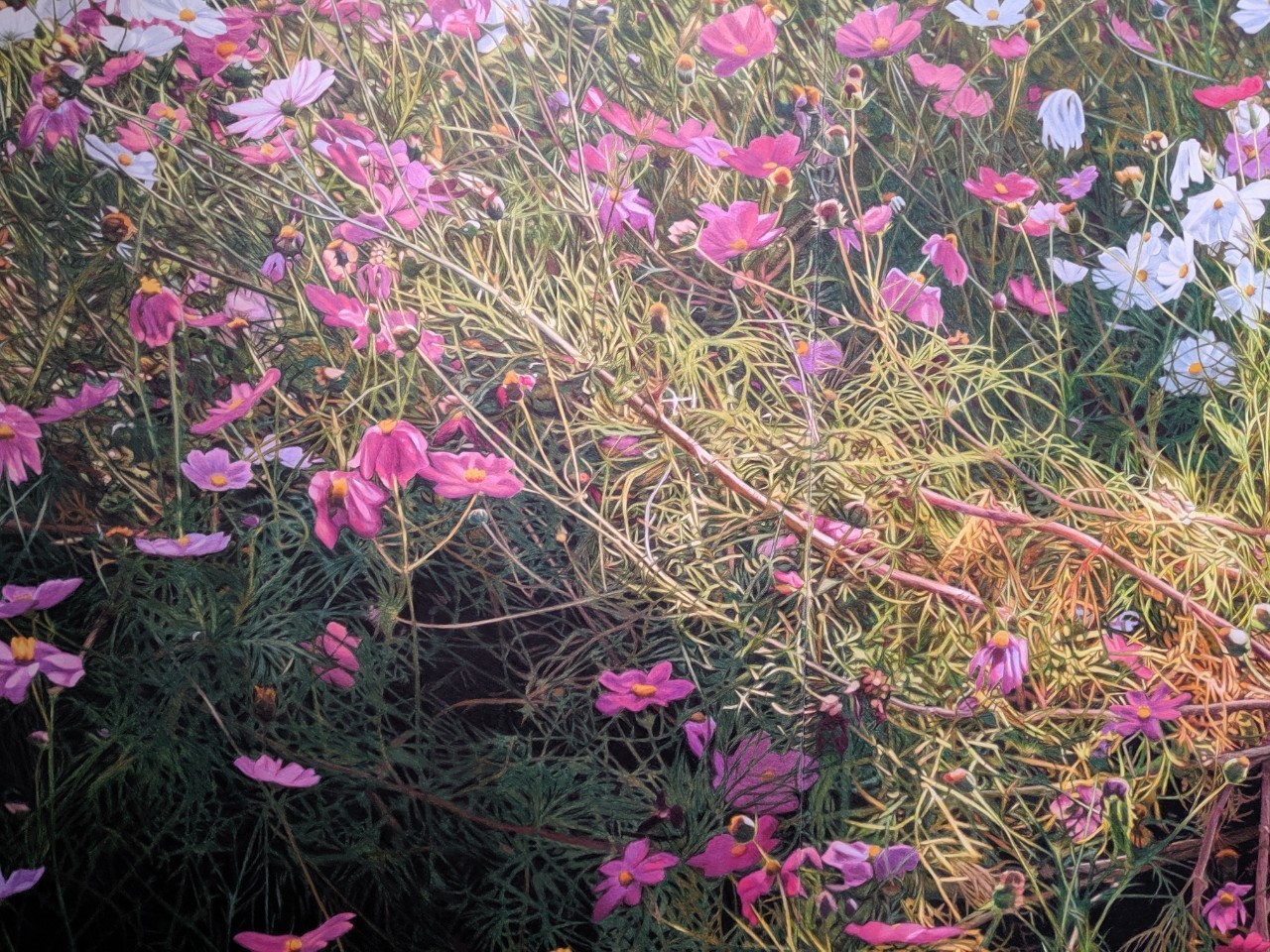 存在を浮かび上がらせる吉村芳生作品｜入谷佐知さっちん