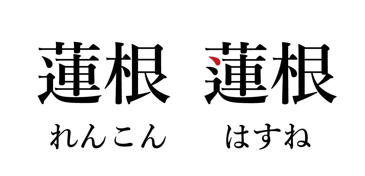 すべての花の画像 50 素晴らしいれんこん はすね