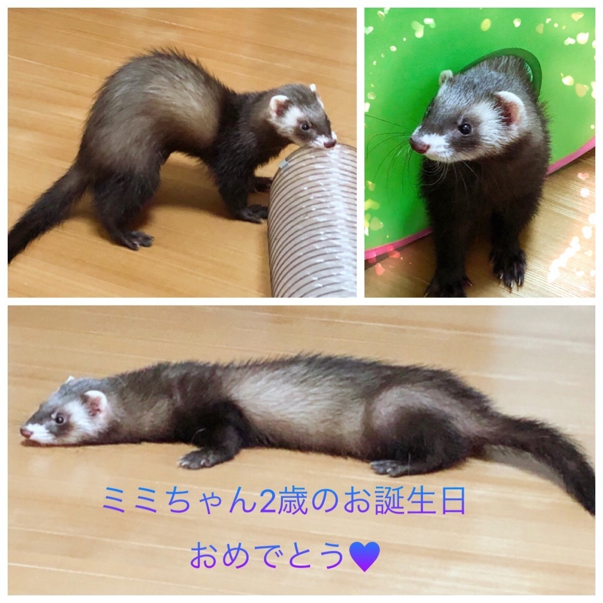 画像1