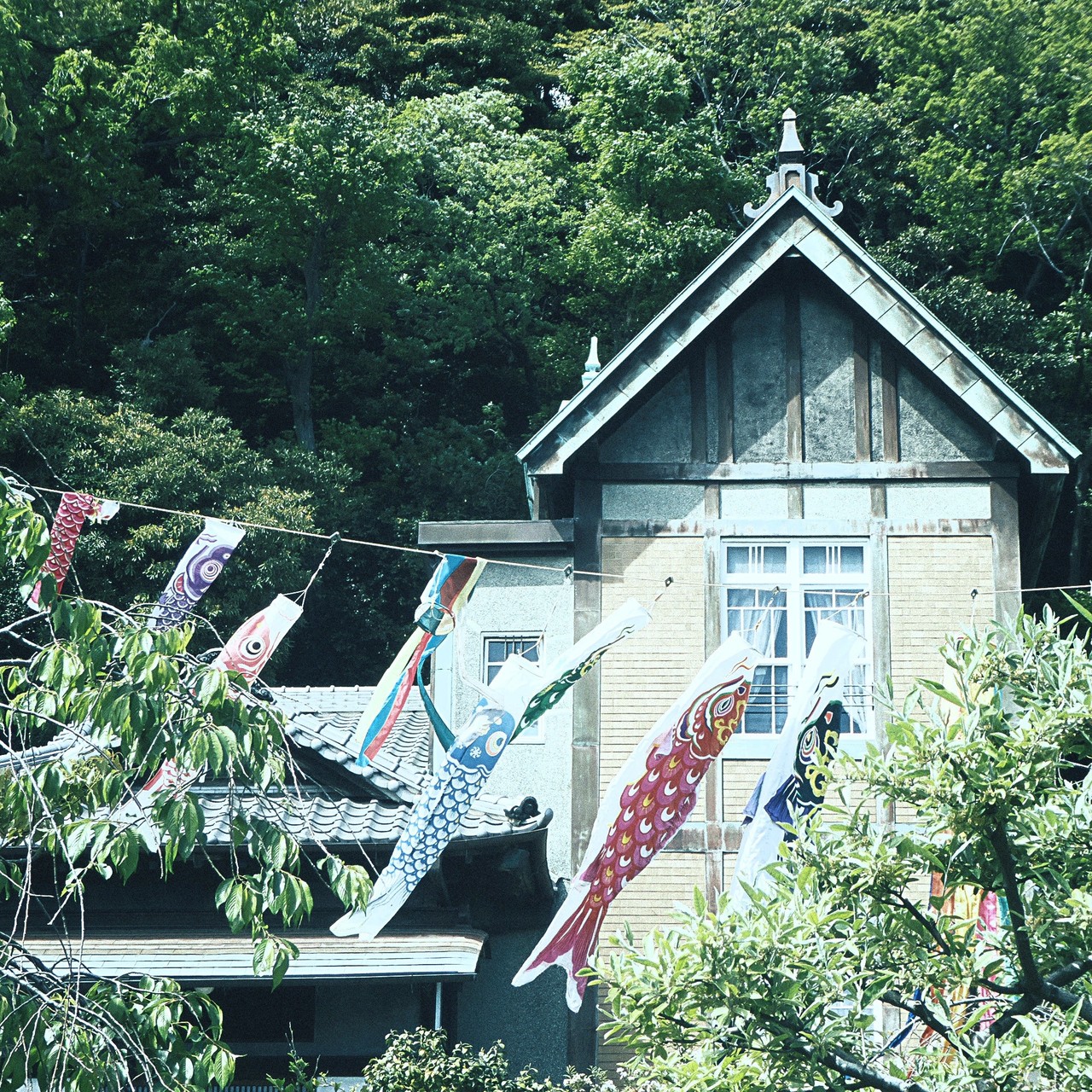 端午の節句にヨコハマ巡り 根岸なつかし公園 旧柳下邸 19 05 05 13 38 スナップ寅さん Note