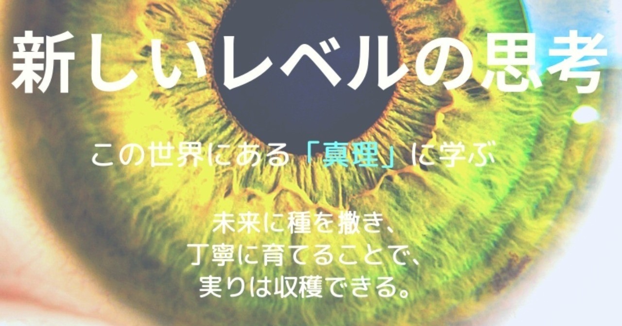 _The原則_書籍表紙デザイン