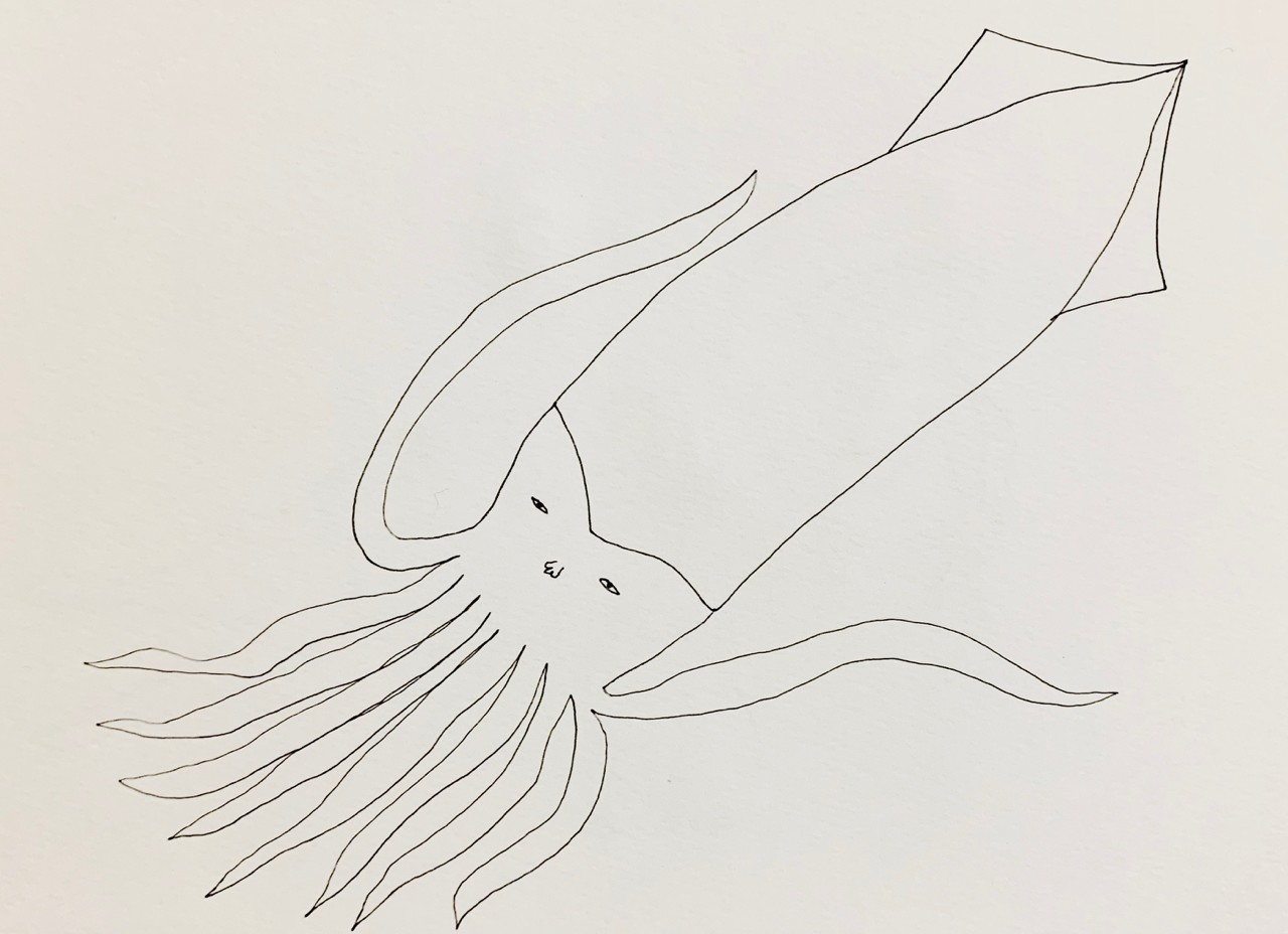 イカ はなこ ゆる絵 Note