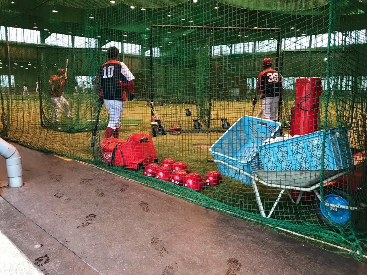 広島カープの下水流昂。｜ゴッホ向井ブルー