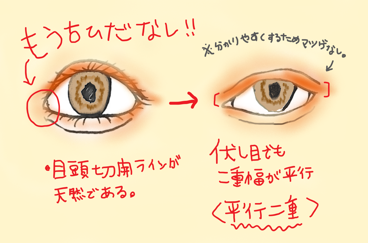 アイパレットの選び方も 人それぞれ ノート君 Note