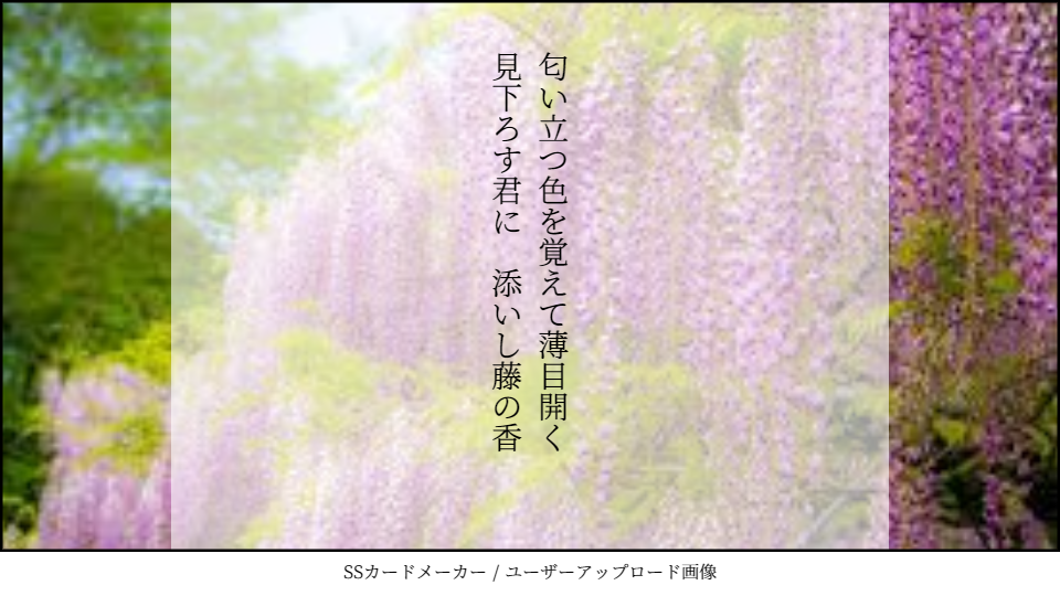 無料ダウンロード花鳥 風月 花 最高の花の画像