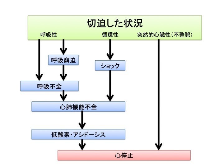 心停止が切迫していることに気づく Kaz Ka Z000n Note