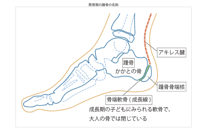 母親向け 子供用スパイクは必要か C Riosam Note