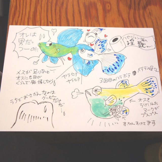 画像1