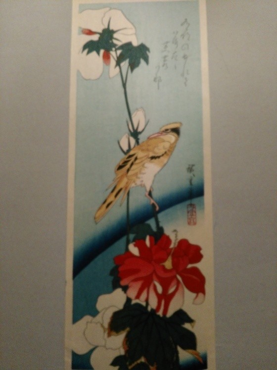 picture_pc_afcc3943eb74813ffbb