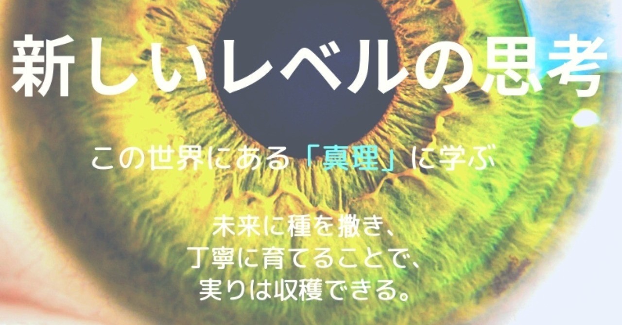 _The原則_書籍表紙デザイン
